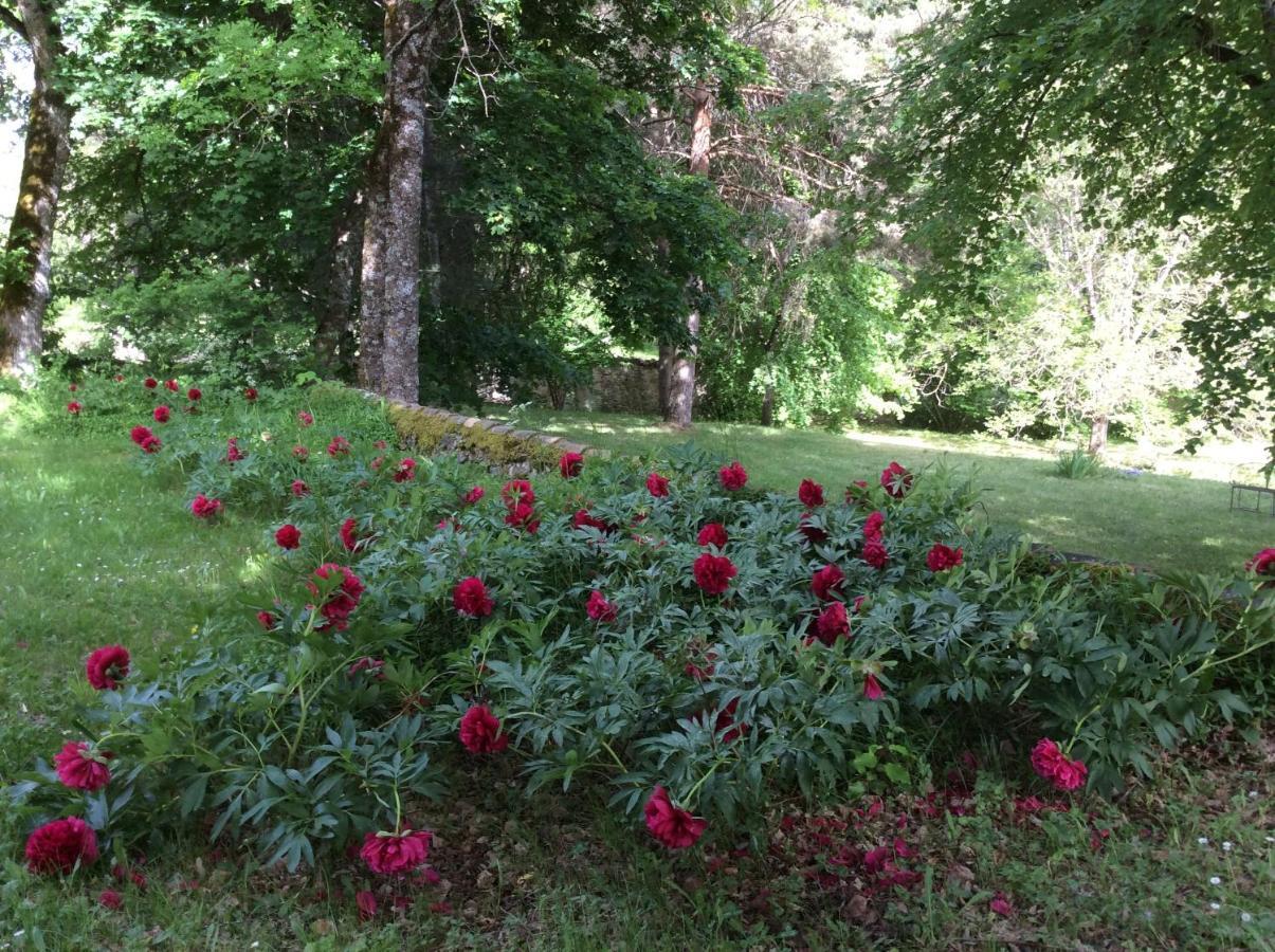 Chateau de Laric Chabestan Extérieur photo